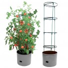 Maxitom jumbo plantepotte med undervanning thumbnail